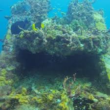 John Pennekamp Coral Reef State Park (2025)