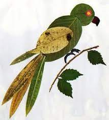 Cara membuat kolase burung merak dari daun kering dan basah sangat mudah. Kreasi Kreatif Dengan Kerajinan Daun Kering Anti Jamur