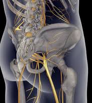 Nerve root pain originates from nerves that have been damaged or are compressed in the spine. Acute Lumbar Nerve Root Reduce Force Neurodynamic Solutions