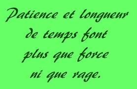 Patience Et Longueur De Temps Font Plus Que Force Ni Que Rage Pour Atteindre Un Objectif Il Vaut Mieux Etre Patient Plutot Que D Patience Math Math Equations