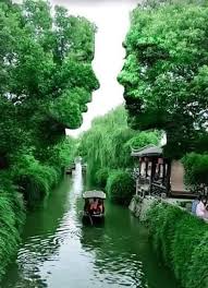 Https Www Facebook Com Photo Php Fbid 354865238719683 Natur