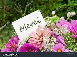 Browse our website to find the perfect floral gift and order online or over the phone. Pink Flowers And Card With Lettering Thank You Royalty Free Stock Photo 155063315 Avopix Com