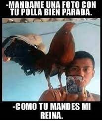 Pin En Risas De Instagram