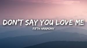Fifth Harmony Don T Say You Love Me Lyrics Lyrics Video Youtube