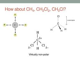 Non polar solvents contain bonds between atoms with similar electronegativities, such as carbon and hydrogen (think hydrocarbons there are 3 types of solvents commonly encountered: Ppt Polarity Powerpoint Presentation Free Download Id 2610871