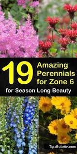 #gardening #flowerfarm #lisianthusthanks for visiting the freshcutky organic gardening channel. Annual Plants Perennials Zone 6 Perennials Perinial Flowers Perennials Perennial Herbs Long Blooming Perennials Shade Loving Perennials Flowers Perennials