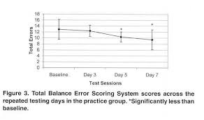 Image result for Balance Error Scoring System