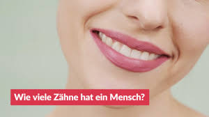 Wie Viele Zahne Hat Ein Mensch Youtube
