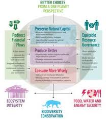 Learn how you can help wwf make a difference. World Wide Fund For Nature Wwf Green Growth Knowledge Platform