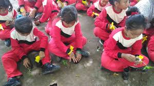 Over a year ago problem with this question? Outbound Edukasi Alas Prambon Sidoarjo 082335611999 085728945777