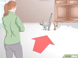 How To Get Rid Of Cat Spray Odor 12 Steps With Pictures