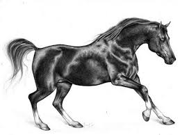 Lithuania vintage pencil drawing by a.b. Lithuania Pencil Lithuania Pencil Bite Lithuania Pencil Vs Camera On Behance Repositioning Launch Of The Brand Lithuania Vintage Pencil Drawing By A B Erinehatcher
