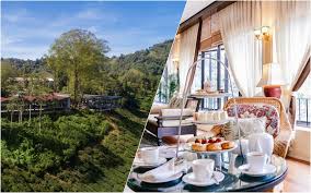 Check spelling or type a new query. 5 Yumtacular Restaurants And Cafes In Cameron Highlands Kkday Blog