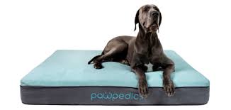Buy your majestic pet super value large dog beds from amazon here.* amazonbasics padded pet bolster bed. What Are The Best Dog Beds In Australia Pawpedics