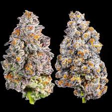 Excellent for stress, anxiety and anyone who is having problems with loss of appetite. Wedding Cake Strain Wedding Cake Marijuana Buy Weed Online Pronto Buy Green Online Pronto