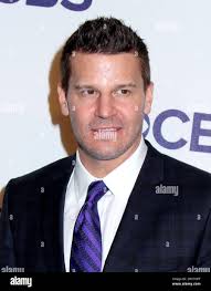 David plaza Banque de photographies et d'images à haute résolution