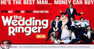 Every Fun Now The Wedding Ringer Full Movie