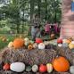 Pumpkin Spooktacular at Woodland Ranch event image