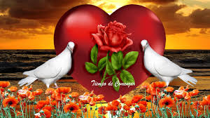 3 Yam Amor Naturaleza Naturaleza Belleza