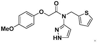Image result for Dolichos petiolatus