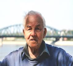 Design Thinking to Create a Remote Patient Monitoring Platform for Older  Adults' Homes