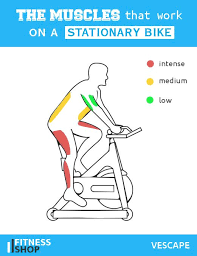 Muscles Work On Stationary Bike Bicycle Workout Stationary Bike Workout Biking Workout