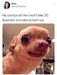 Pin By Alyssa Sanchez On Humor Funny Dog Memes Funny Animal Memes Funny Animal Jokes