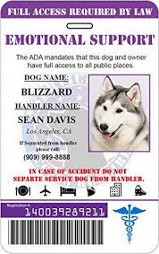 Pin By Shedevil On Service Dogs Emotional Support Dog Emotional Support Support Dog