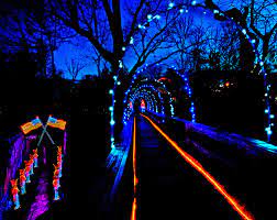 Enchanted Garden Of Lights Rock City Garden Of Lights Rock City Chattanooga Christmas Town