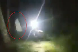 Waduh Serem Banget Nih Lagi Trabasan Malam Di Hutan Disapa Hantu Semua Halaman Gridmotor Id
