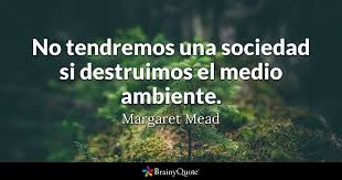 Resultado de imagen para protecciÃ³n medio ambiente frases