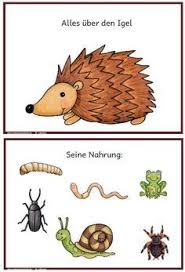 Material Intern Zaubereinmaleins Designblog Igel Herbst Im Kindergarten Geschichten Fur Kinder