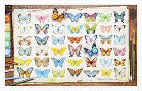 Check spelling or type a new query. Puzzle Aus Kunststoff Beautiful Butterflies 1000 Teile Pintoo Puzzle Online Kaufen