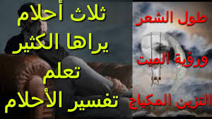 تفسير حلم اكل الشيش في المنام التفسير الصحيح✔️ في معنى اكل الشيش (رؤية) حلمت اني كنت عند ناس معرفهاش واما رجعت كنت بعطي لامي كباب وكفتة . Download Ø±Ø¤ÙŠØ© Images For Free