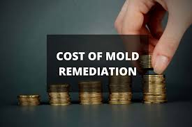 Mold remediation is a common type of service needed when water damage has occured in the basement or crawl space. How Much Does Mold Remediation Cost Mold Remediation