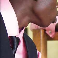 Annual Report 2012–13