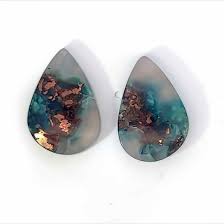 Image result for Chrysochloa