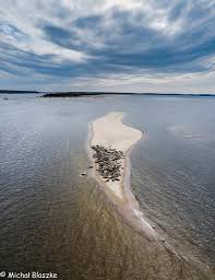It is one of the most attractive places on the map of gdańsk. Tomasz Golonko On Twitter Tymczasem W Gdansku Wyspa Sobieszewska Mewia Lacha Fot Michal Blaszke Https T Co Itqovjytn7 Twitter