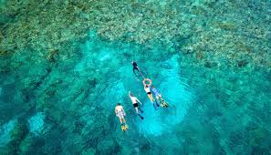 Snorkelling Introductory Diving Certified Diving Cairns Great Barrier Reef
