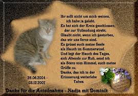 Zwei besondere schwerpunkte haben sich gebildet: Katzenweihnacht Weihnachtsseite