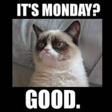 34 hilarious monday memes of october 2019. 730 Monday Memes Ideas In 2021 Monday Memes Monday Humor Monday Quotes