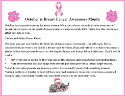 Breast cancer awareness month, international health campaign lasting the month of october that aims to increase awareness of breast cancer. Yourriverbridgevet Com Wp Content Uploads 2019