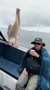 Exploring the Wonderful World of K-Dramas | TikTok