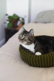 I can't get over how cute they look, hanging out of her pocket. Make Your Own Knit Cat Bed A Beautiful Mess