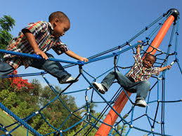 14 australian early development census data validation data reports are based on where children live not where they attend school. Australian Early Development Census Aedc Raising Children Network