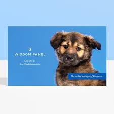 We want to keep you updated on recent changes to our breeder for that reason, please read these updates for our cat breeder community. Best Dog Dna Tests Of 2021 Reviews Of Wisdom Panel Embark Dna Test Dna My Dog