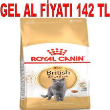 royal canin british shorthair kedi mamasi 2 kg amazon pet center 2021 balik yagi kedi beslenme