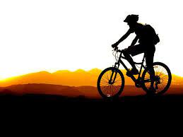 Mountain bike vector silhouette illustration. Mountain Biking Silhouette By Lane Erickson Bike Silhouette Mountain Bike Art Mountain Biking Photography