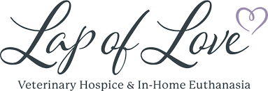 5875 ellsworth avenue pittsburgh, pa 15232. Pittsburgh Lap Of Love Mobile Veterinarian