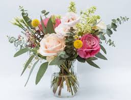 We did not find results for: How Flowers For Delivery Tomorrow Goes To Exchange Your Commercial Enterprise Strategies Te Flower Delivery Online Flower Delivery Best Online Flower Delivery